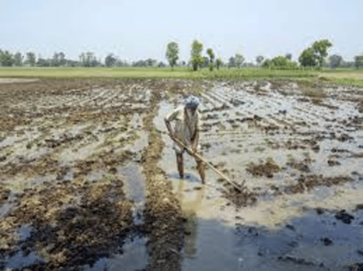 accounts of farmers today